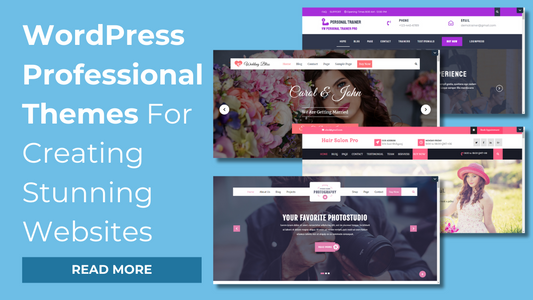 WordPress-Professional-Themes