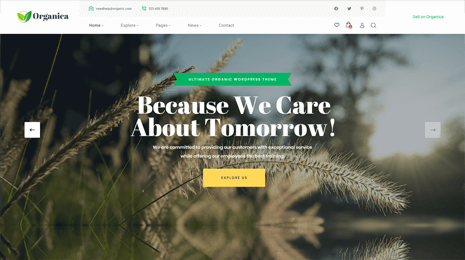 Aqeeq Agency WordPress Theme