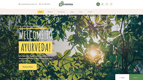 Free Ayurveda WordPress Theme Thumbnail 