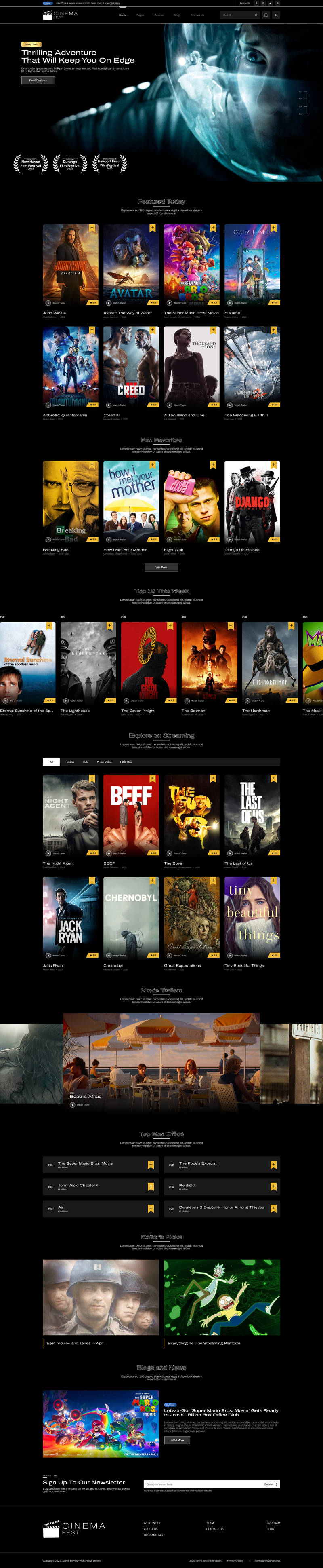 Movie Review WordPress Theme