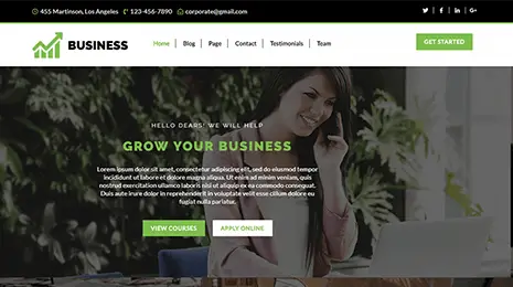 WordPress Themes for Business